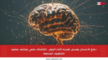 دماغ الإنسان يغسل نفسه أثناء النوم.. اكتشاف علمي يكشف عملية التنظيف المذهلة